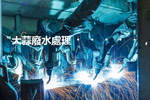 “大蒜廢水處理，綠色環(huán)保新篇章”